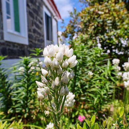 Casa D'Eira Nordeste (Azores) Exterior foto