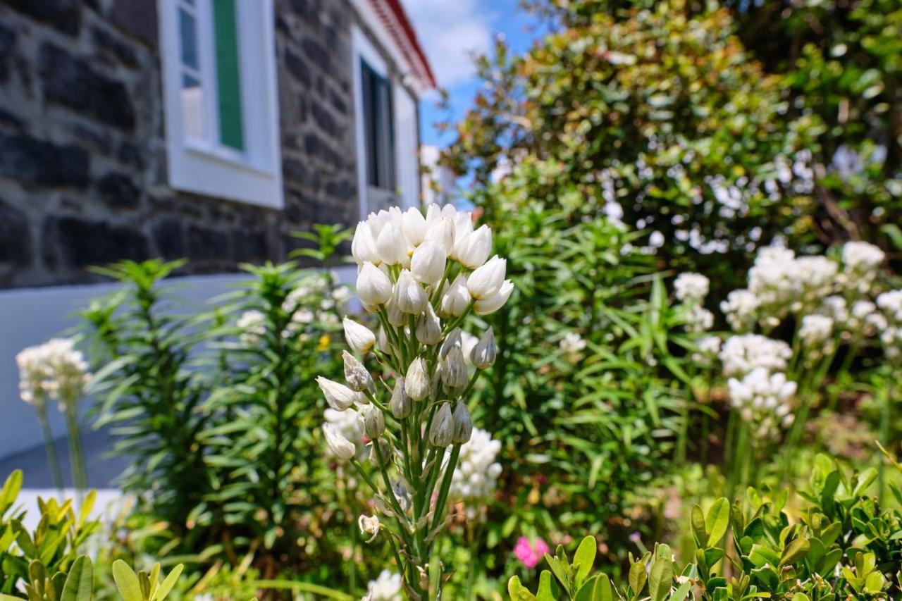 Casa D'Eira Nordeste (Azores) Exterior foto